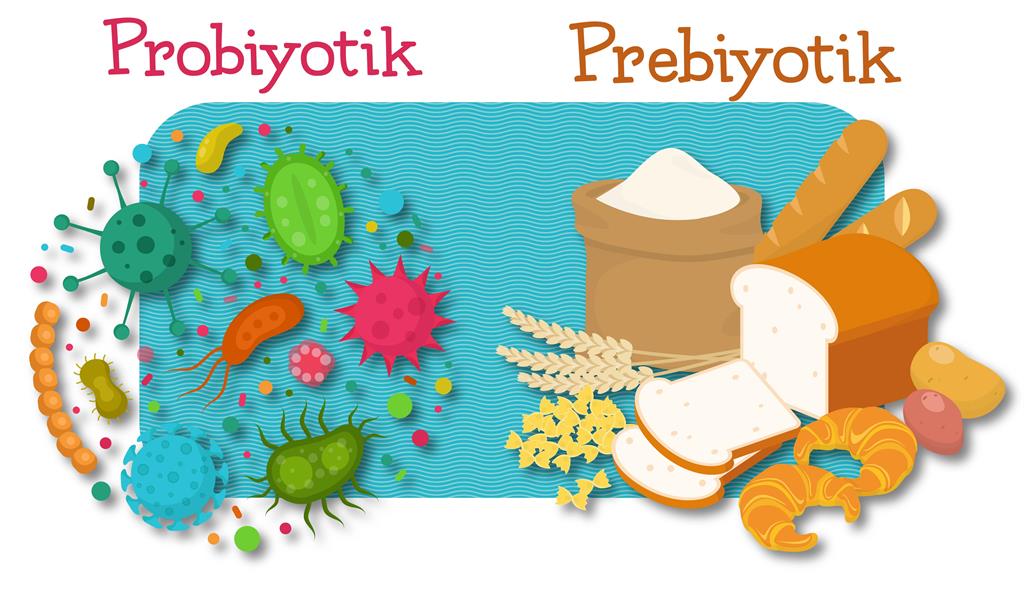 probiyotik ve prebiyotik