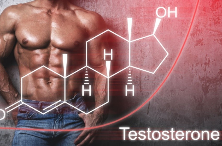 testosteronu%20dogal%20kapak%20