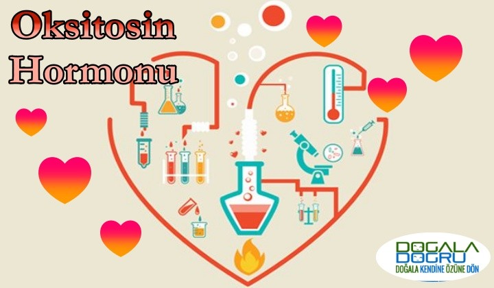 oksitosin-hormonu-2