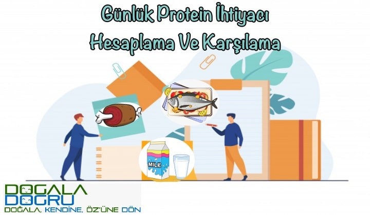 proin-hesaplama-