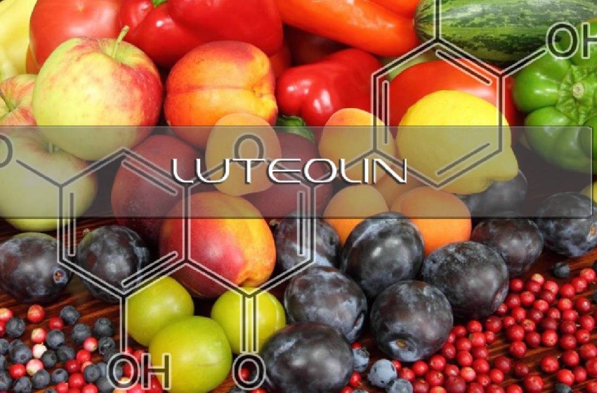 luteolin%20kapak